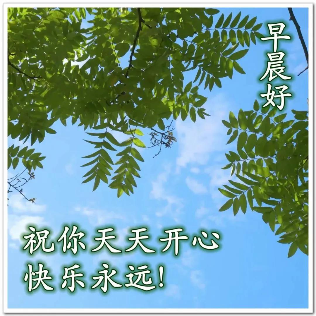 8张最美秋天风景早安图片带字带祝福语 2021好看的秋日早上好问候祝福风景图片