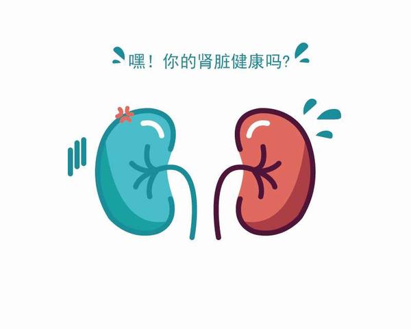 血管|肾衰竭是拖延出来的，医生：早上两坚持晚上三不要，肾脏更健康