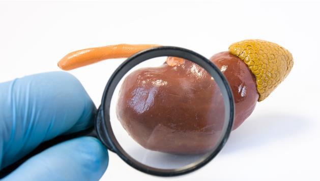 肾三级损伤 a51216d4b17543638897d632886d4f81.jpeg