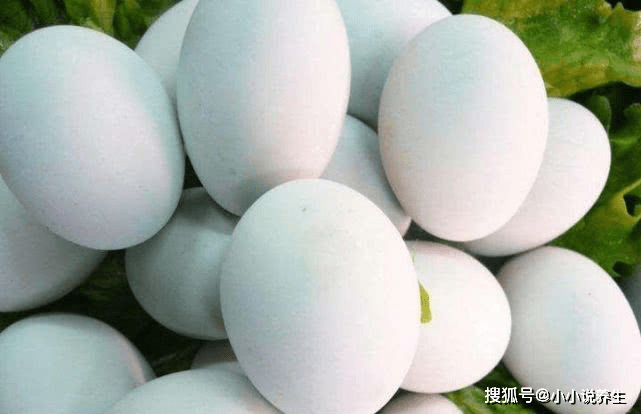 鸡蛋怎么吃补血最有效 ebbd6912135e4424ad88ff57d8dd2b44.png