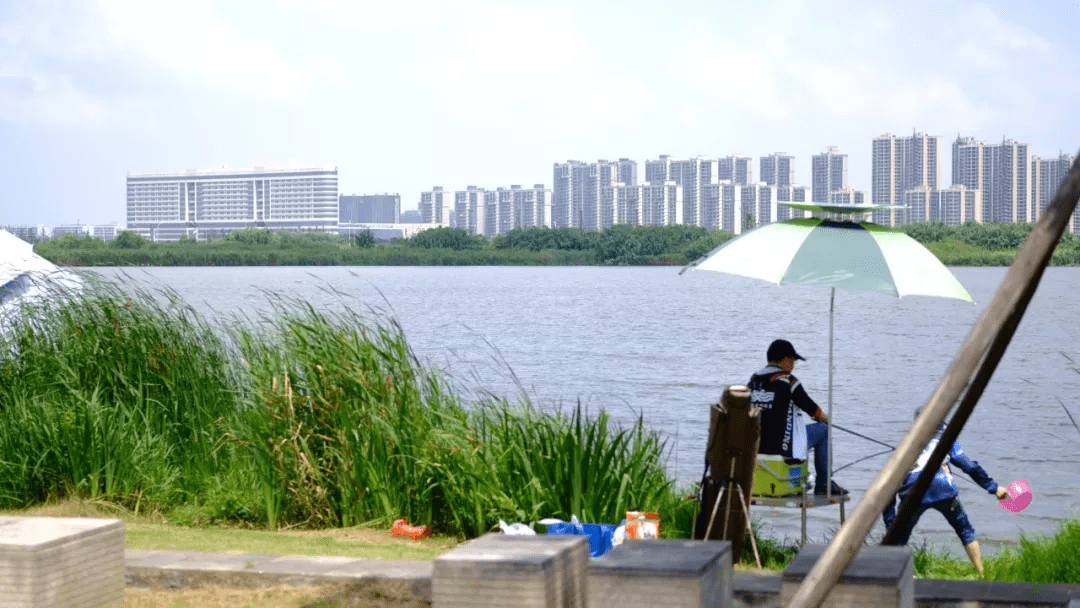 杭州湾新区中心湖公园图片