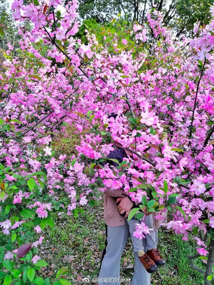 感觉老公们是如何把“拍丑照”做到全国统一的？