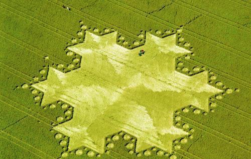 麦田怪圈的真相 跟外星人究竟有无关系 科学家 难说 形状 全网搜