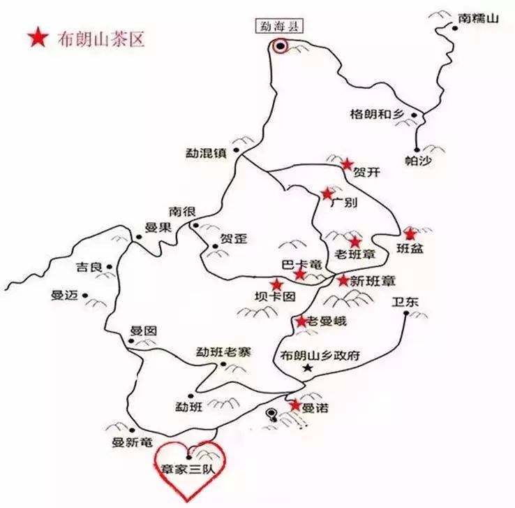 普洱茶臺地茶之王——章家三隊。《圖+文》