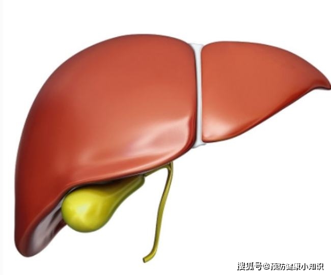 肾脏|肝好的人，手上可能有3个“记号”，若全中，恭喜，肝保养得不错