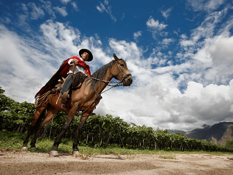 全球|热烈人生 | 2021阿根廷葡萄酒巡展报名通道现已开启！