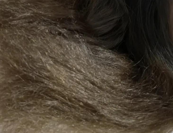 代谢|要是早知道这几招，最起码少掉几万根头发，心痛…