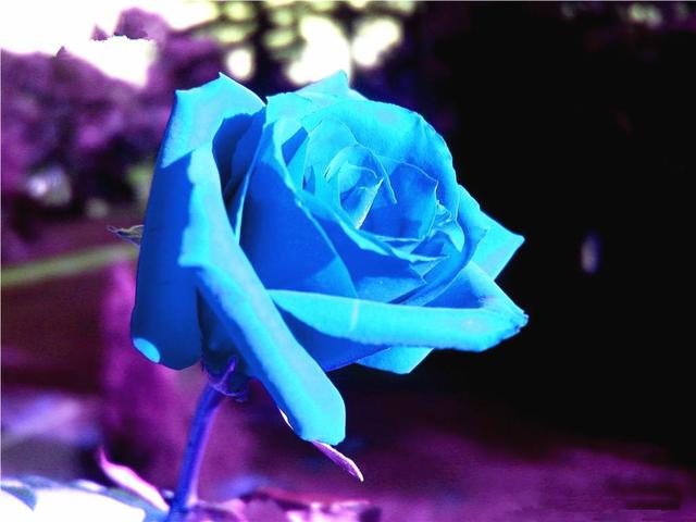 9a901e57406843e9a2d8cfb187b9e933.jpeg