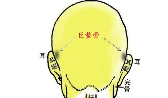 五骨丰登 非富即贵的5种骨相