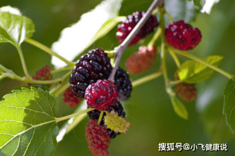 a8e53ae7f34b460bbf1b463ff0719fc8.png