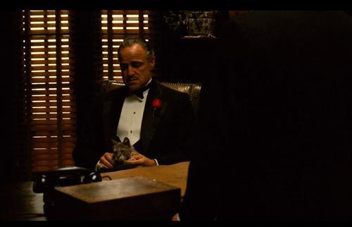 什么|没有什么电影是必看的，如果真的有，那一定是《教父》