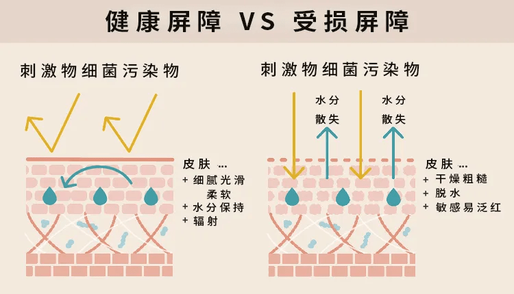 油脂换季敏感泛红，皮肤外干内油？其实是皮肤屏障受损啦