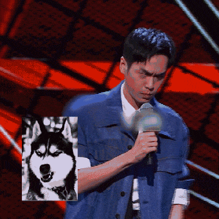3c47c337a66d4faf9150114d20a19663.gif