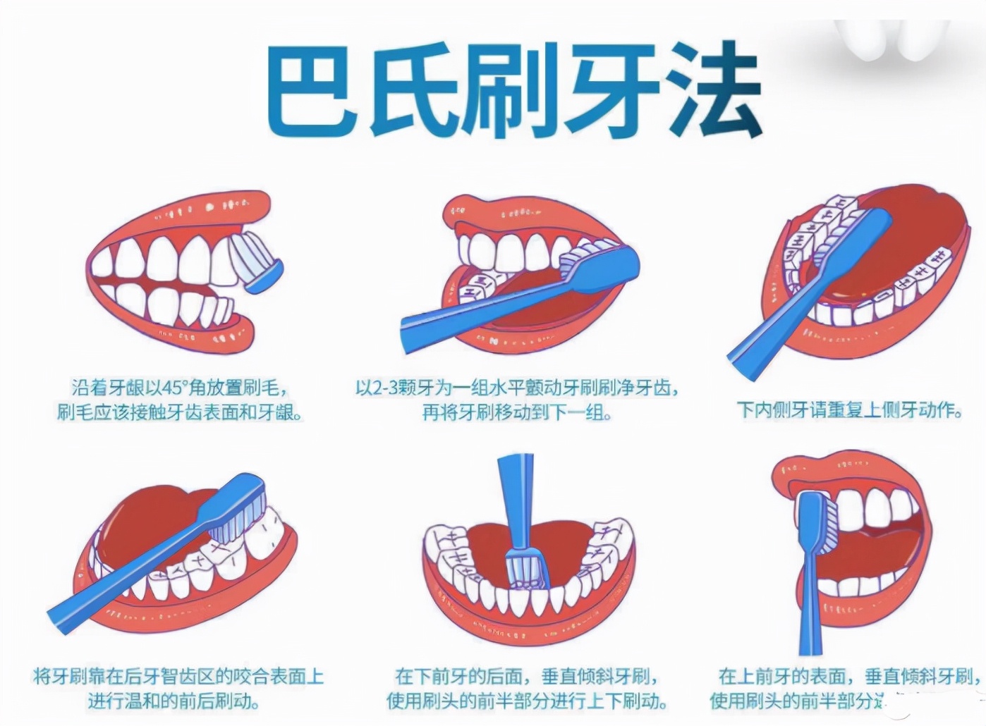 声波牙刷的正确刷法图片