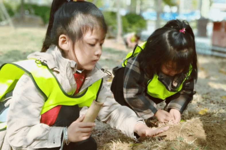 家长|幼儿园“变相”打听家底，让学生与车合影，不料被家长一眼识破