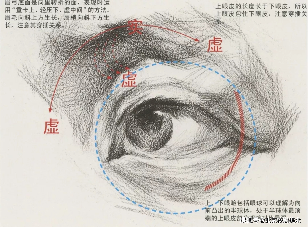 素描校尉美术：素描五官详解，看完这篇搞定素描头像！