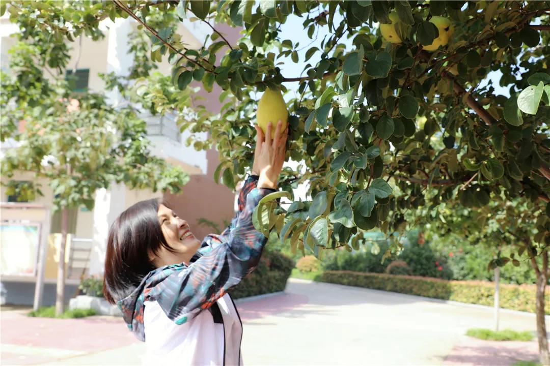 昆吾|木瓜情深 感恩莫忘丨濮阳市昆吾小学举行第三届“木瓜”主题文化活动