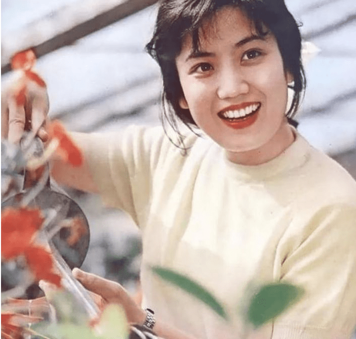 北影|“北影三朵金花”今夕照对比，如今40年过去了，谁的变化最大呢？