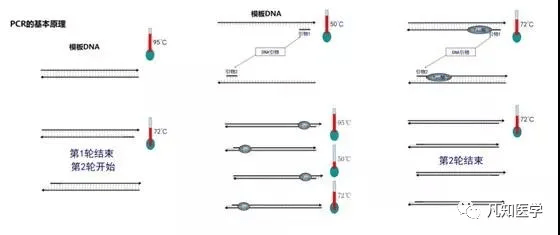 调教运用了什么原理