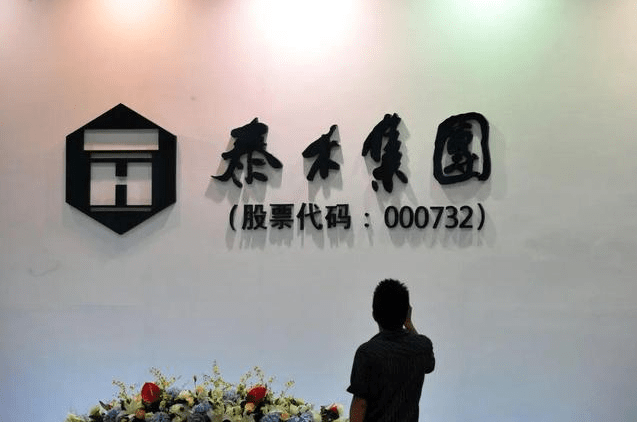 泰禾集团近50个楼盘烂尾：负债超过464.66亿元(图4)