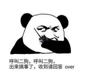 金币|快乐家族全员停工?正直小生联合视帝偷金币?