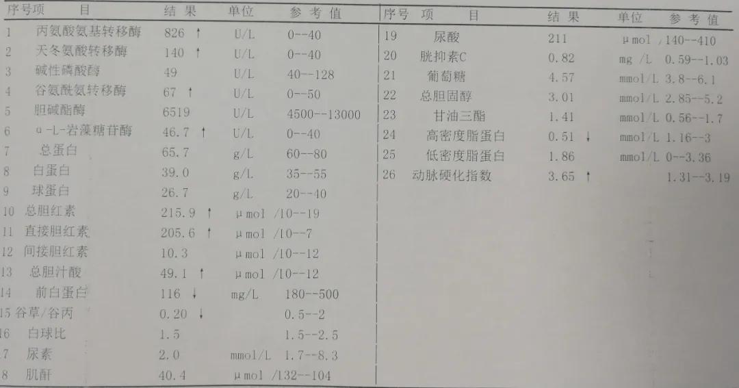 阴性|乙肝病毒DNA阳性,表面抗原却是阴性,为啥?