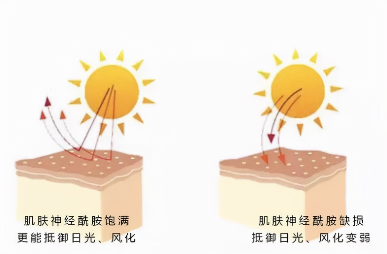 护肤品水媚蛙：皮肤暗黄、粗糙、肤色不匀？补水这步没就做对！