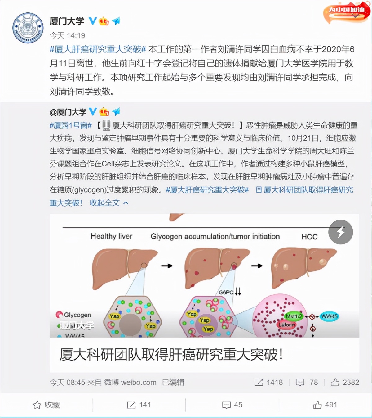 细胞|上热搜了！厦大科研团队取得肝癌研究重大突破