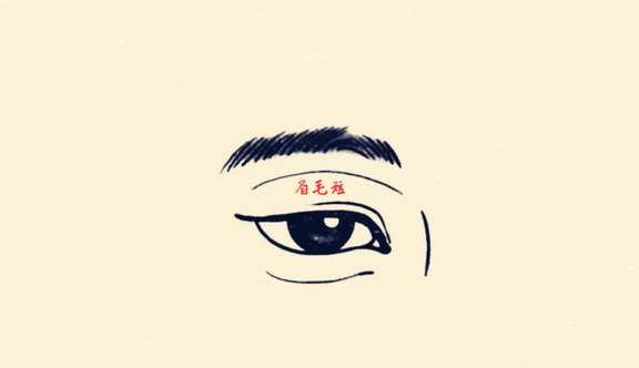 十种不同眉形 十种不同命运 你的眉毛属于哪一种 性格 全网搜