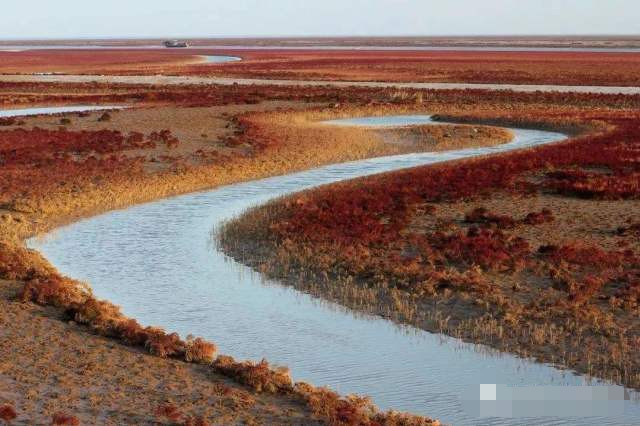 黄河入海的威力有多大？每年携带3万亩泥沙，如今已是著名景区