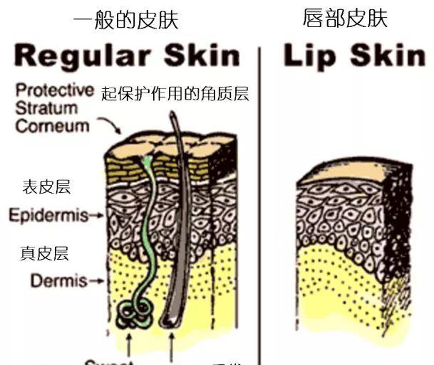 唇膏这个细节没做好，对女生的影响竟然这么大？