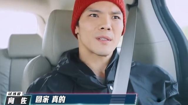 节目组|参加完这档综艺后，向佐的“功夫巨星”梦，怕是彻底破碎了