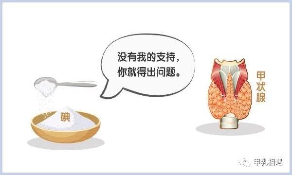 补充|正确补碘｜甲状腺结节患者——补碘还是限碘