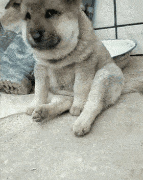 jio搞笑GIF：女孩选衣服 颜色真的很重要