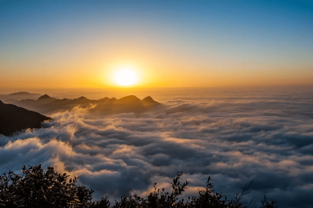 腾云驾雾，一起去探秘秋日的金佛山！