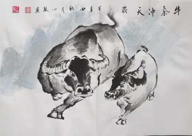 花鸟画|徐小琴绘画作品赏析