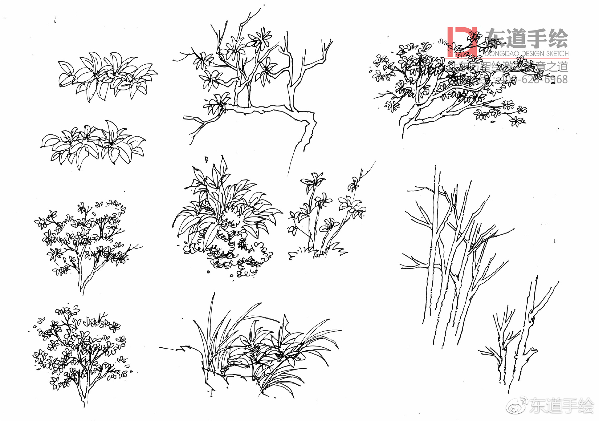 时间【干货分享】你总是说自己画不好，你用心坚持去画了吗？