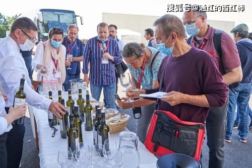 刘金启|山西煤老板花16亿买戈壁种植白杨树,只为做出属于国人的葡萄酒