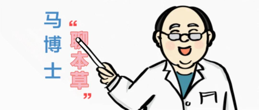 功能|【马博士聊本草】女科要药（四）： 三七的故事——“血虚无瘀忌用三七”