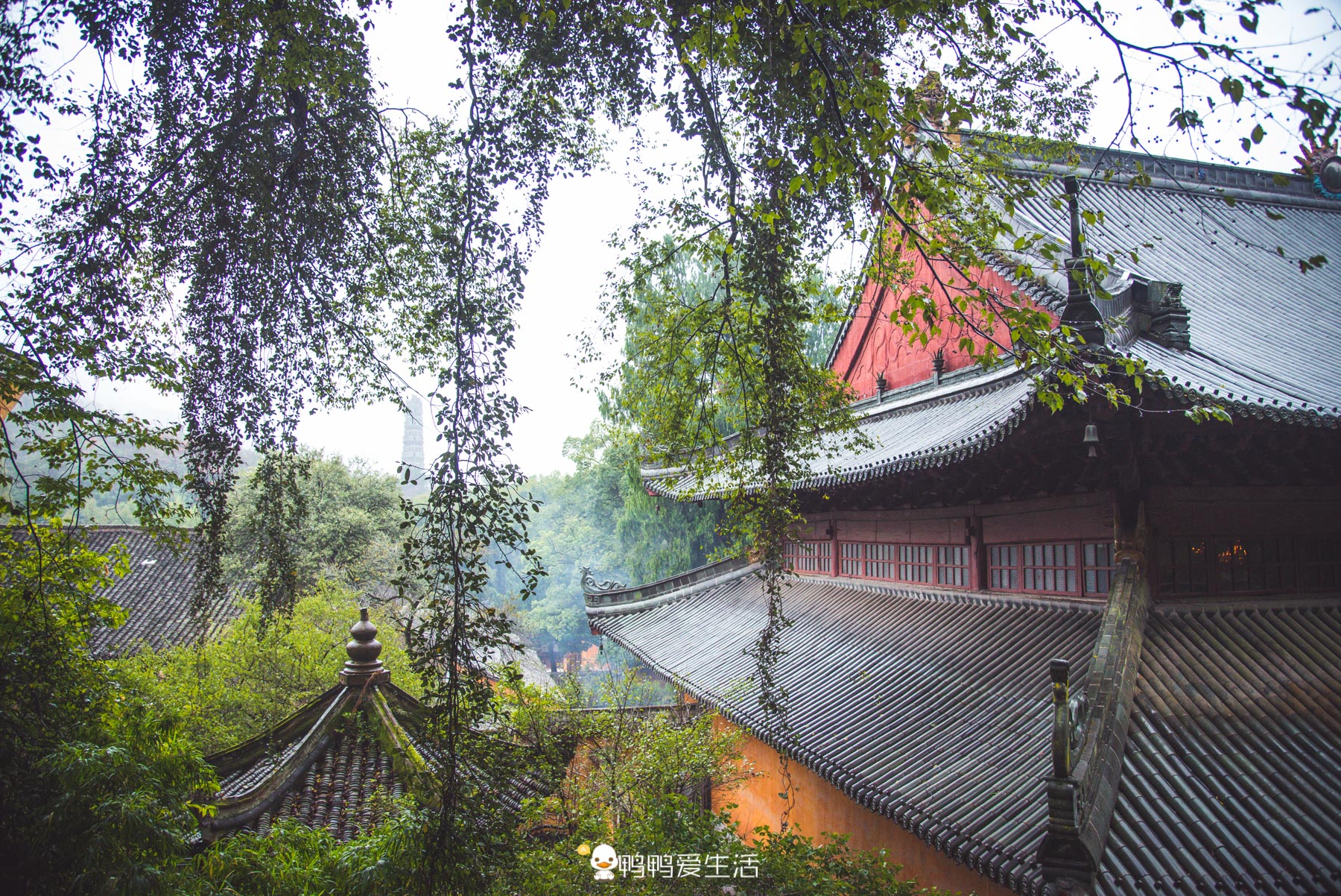 景美|台州1400年名寺为天台宗发源地，景美清幽不收门票，真佛性！