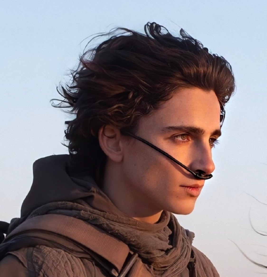 沙丘|成本高达十多亿，众星云集的大片，口碑为何两极分化？