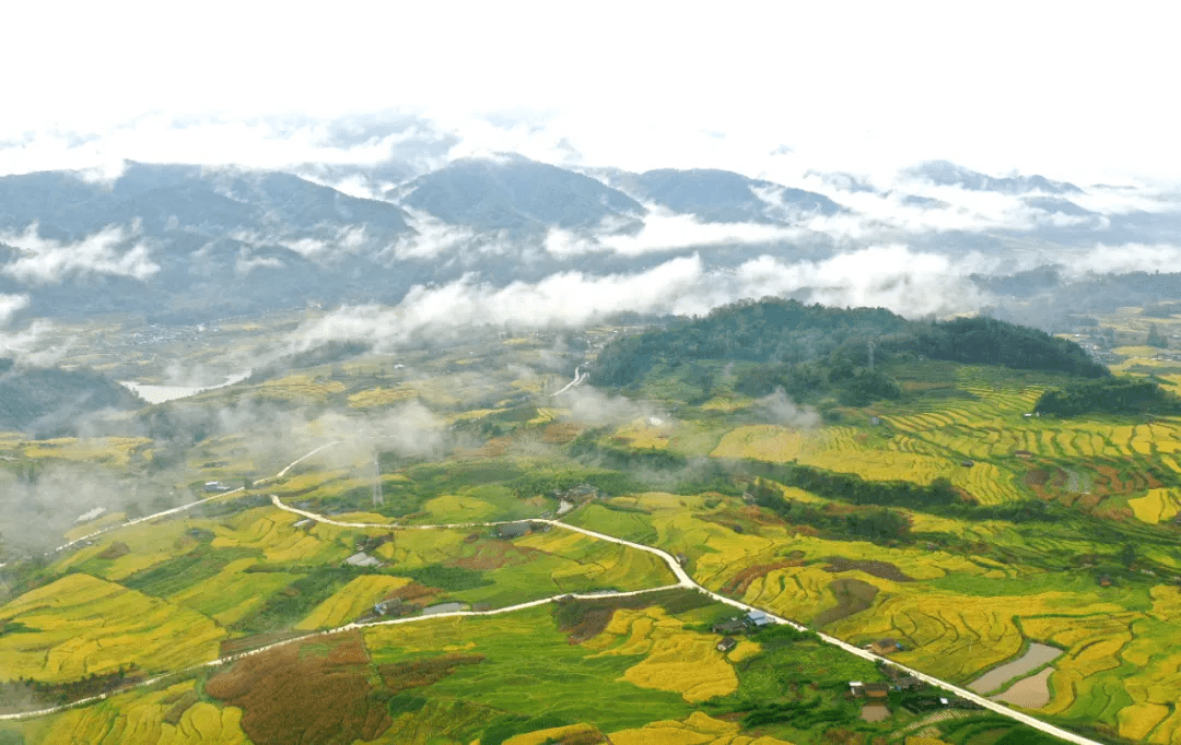 水面|美文分享丨腾冲龙川江峡谷：梯田如画稻谷香