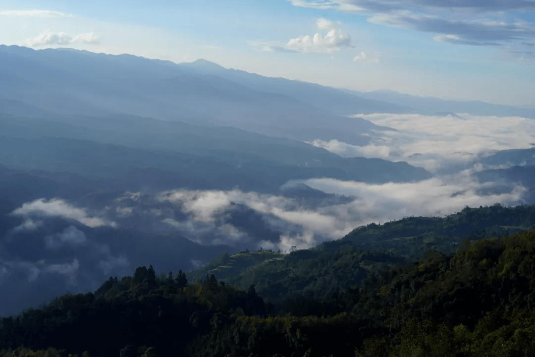 水面|美文分享丨腾冲龙川江峡谷：梯田如画稻谷香