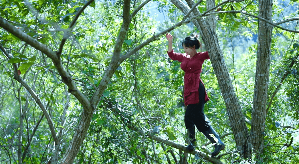 粗布 31岁李子柒在央视镜头下,感觉颜值也不差,一身清修造型很朴素