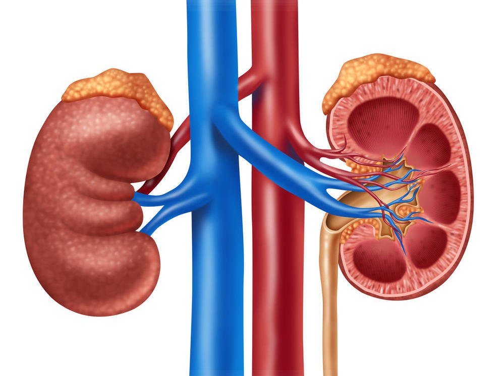 并发症|糖尿病有哪些并发症？一看便知！