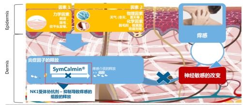 婴儿【林依轮强推】一款全能舒缓修复的宝宝霜哈丁宝贝娃娃瓶