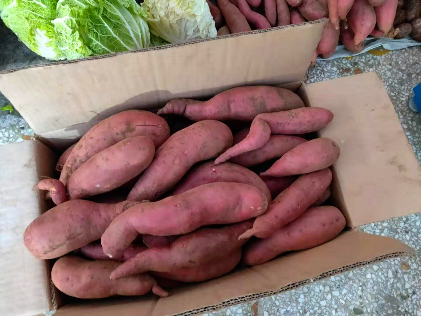 买红薯选细长的还是圆胖的老菜农差别挺大弄懂再买不吃亏