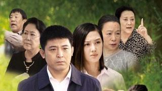 结局|被称作农村版《人民的名义》一口气看15集,这剧太冷门阵容太强大