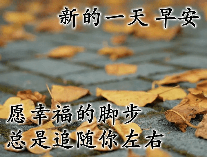 bac2d97d3f0449da87246aa5374a6554.png