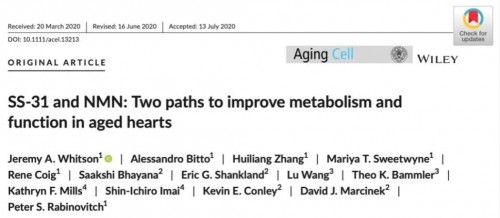 血液|心脑血管疾病的克星——LLT NMN